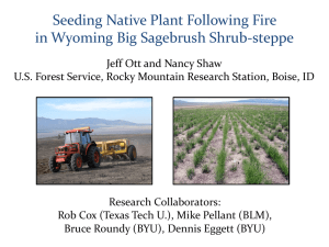 Seeding Native Plant Following Fire in Wyoming Big Sagebrush Shrub-steppe