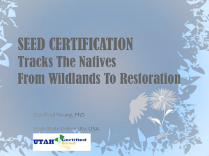 SEED CERTIFICATION Tracks The Natives From Wildlands To Restoration
