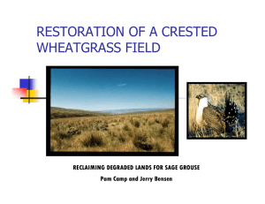 RESTORATION OF A CRESTED WHEATGRASS FIELD RECLAIMING DEGRADED LANDS FOR SAGE GROUSE