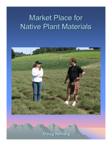 Market Place for Native Plant Materials Doug Kendig