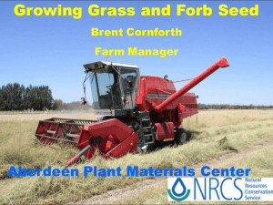 Growing Grass and Forb Seed Aberdeen Plant Materials Center Brent Cornforth Farm Manager