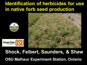 Identification of herbicides for use in native forb seed production