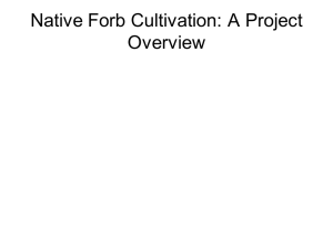 Native Forb Cultivation: A Project Overview