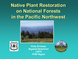 Native Plant Restoration on National Forests in the Pacific Northwest Regional Geneticist
