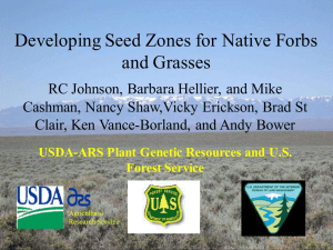 Developing Seed Zones for Native Forbs and Grasses