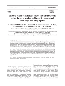Effects of shoot stiffness, shoot size and current seedlings and propagules