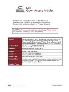 Biochemical Characterization of the O-Linked Glycosylation Pathway in Neisseria gonorrhoeae