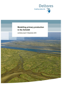 Modelling primary production in the Scheldt  workshop report 14 September 2010