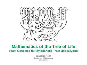 Mathematics of the Tree of Life Sébastien Roch Department of Mathematics