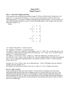 Math 2270-2 Maple Project I