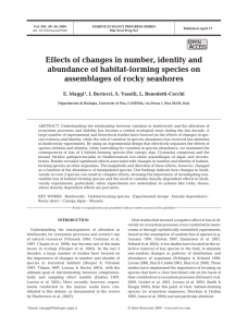 Effects of changes in number, identity and assemblages of rocky seashores