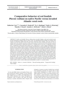 Comparative behavior of red lionfish Atlantic coral reefs Pterois volitans