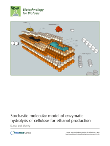 Stochastic molecular model of enzymatic hydrolysis of cellulose for ethanol production