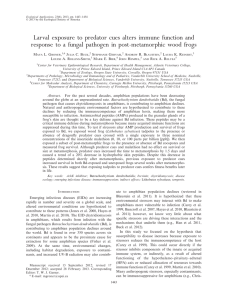 Larval exposure to predator cues alters immune function and