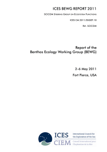 ICES BEWG REPORT 2011
