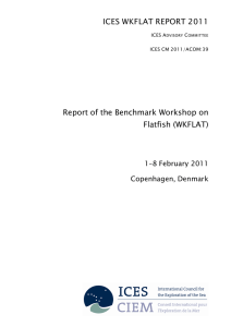 ICES WKFLAT REPORT 2011