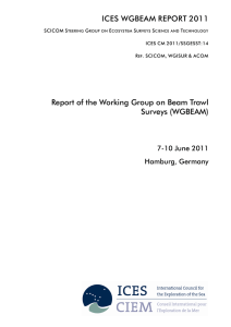 ICES WGBEAM REPORT 2011