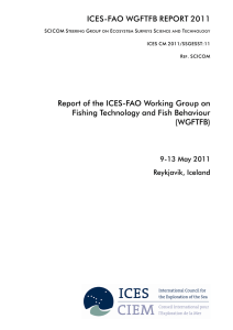 ICES-FAO WGFTFB REPORT 2011