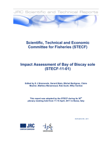 Scientific, Technical and Economic Committee for Fisheries (STECF)