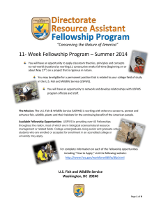 11- Week Fellowship Program – Summer 2014