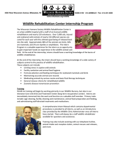Wildlife Rehabilitation Center Internship Program
