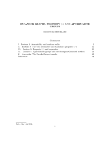 EXPANDER GRAPHS, PROPERTY (τ ) AND APPROXIMATE GROUPS Contents I.