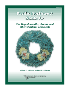 The king of wreaths, charms, and other Christmas ornaments MISC0532