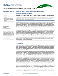 Impacts of salt marsh plants on tidal channel initiation and inheritance