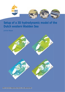 Setup of a 3D hydrodynamic model of the Janine Nauw