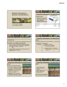 Wetland Delineation Special Considerations 3/8/2016 Important Delineation Considerations