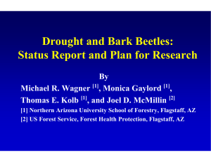 Drought and Bark Beetles: Status Report and Plan for Research By