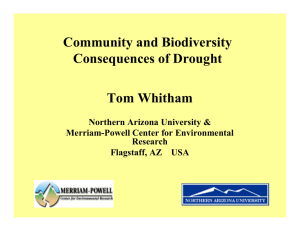 Community and Biodiversity Consequences of Drought Tom Whitham Northern Arizona University &amp;
