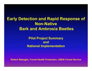 Early Detection and Rapid Response of Non-Native Bark and Ambrosia Beetles