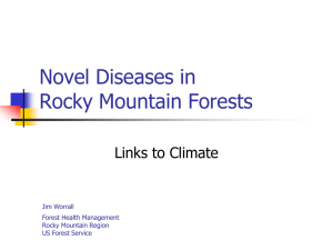 Novel Diseases in Rocky Mountain Forests Links to Climate Jim Worrall