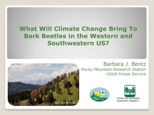 What Will Climate Change Bring To Southwestern US? Barbara J. Bentz