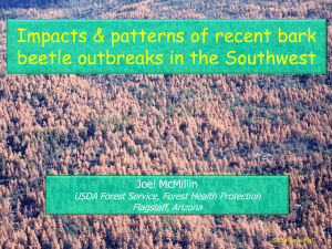 Impacts &amp; patterns of recent bark beetle outbreaks in the Southwest