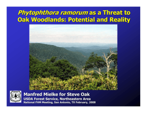 Phytophthora ramorum as a Threat to Oak Woodlands: Potential and Reality Manfred