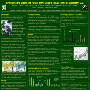 Evaluating the Extent and Nature of Pine Health Issues in...