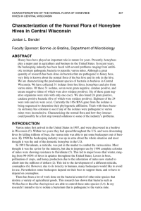 Characterization of the Normal Flora of Honeybee Hives in Central Wisconsin