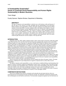 Is Sustainability Sustainable? Issues of Corporate Social Responsibility and Human Rights
