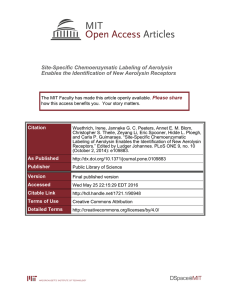 Site-Specific Chemoenzymatic Labeling of Aerolysin