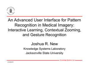An Advanced User Interface for Pattern Recognition in Medical Imagery: