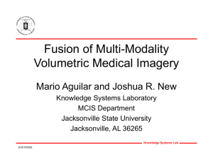 Fusion of Multi-Modality Volumetric Medical Imagery Mario Aguilar and Joshua R. New