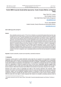 Turkish SMES Corporate Sustainability Approaches: Cluster Analysis Method, an Empirical Study