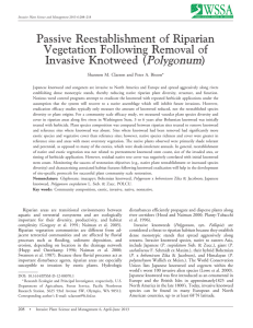 Polygonum Passive Reestablishment of Riparian Vegetation Following Removal of Invasive Knotweed (