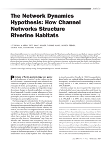 The Network Dynamics Hypothesis: How Channel Networks Structure Riverine Habitats