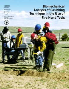 Biomechanical Analysis of Grubbing Technique in the Use of Fire Hand Tools