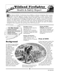 Wildland Firefighter T Health &amp; Safety Report