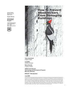 Improving How to Prevent Firefighter Woodpeckers