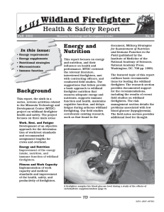 Wildland Firefighter Health &amp; Safety Report Energy and Nutrition